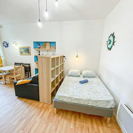 Cosy Apollo T1 Bis - Proche Chateau & Clemenceau